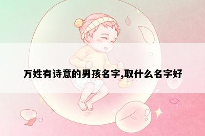 万姓有诗意的男孩名字,取什么名字好