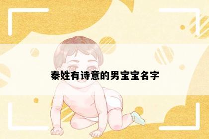 秦姓有诗意的男宝宝名字