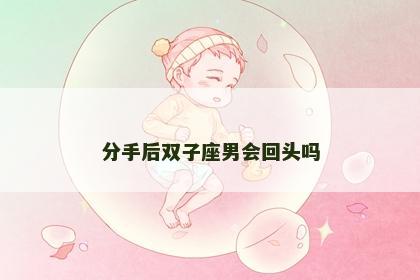 分手后双子座男会回头吗