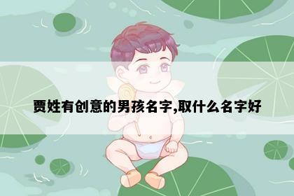 贾姓有创意的男孩名字,取什么名字好