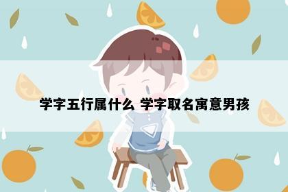 学字五行属什么 学字取名寓意男孩