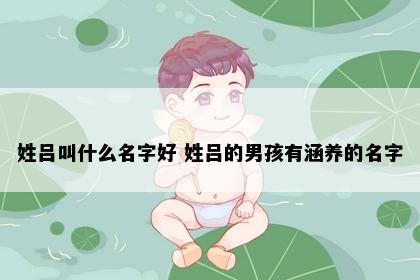 姓吕叫什么名字好 姓吕的男孩有涵养的名字