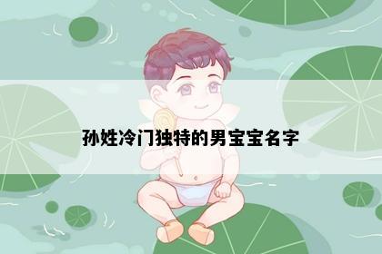 孙姓冷门独特的男宝宝名字