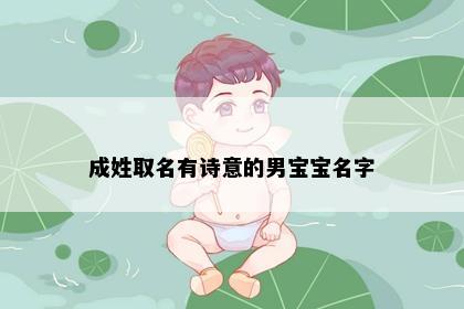 成姓取名有诗意的男宝宝名字