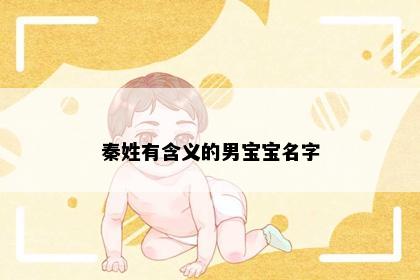 秦姓有含义的男宝宝名字