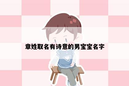 章姓取名有诗意的男宝宝名字