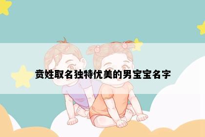 贲姓取名独特优美的男宝宝名字