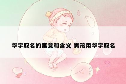 华字取名的寓意和含义 男孩用华字取名