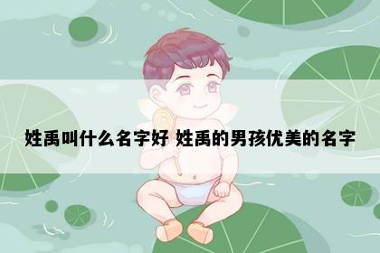 姓禹叫什么名字好 姓禹的男孩优美的名字