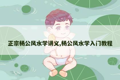 正宗杨公风水学讲义,杨公风水学入门教程