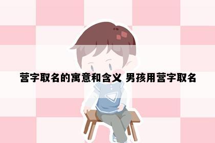 营字取名的寓意和含义 男孩用营字取名