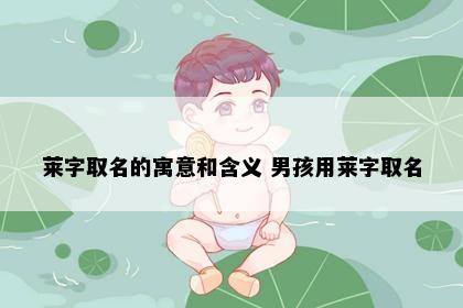 莱字取名的寓意和含义 男孩用莱字取名