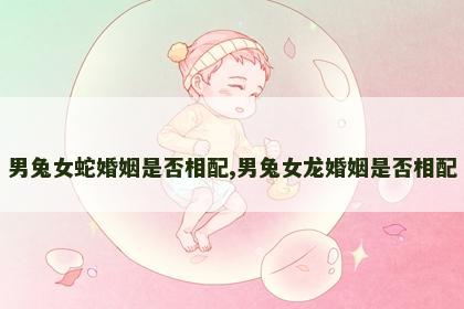 男兔女蛇婚姻是否相配,男兔女龙婚姻是否相配