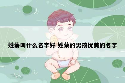 姓蔡叫什么名字好 姓蔡的男孩优美的名字