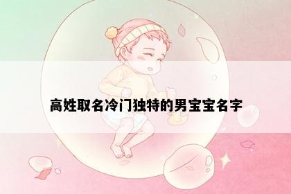 高姓取名冷门独特的男宝宝名字