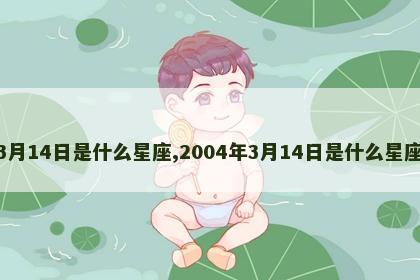 3月14日是什么星座,2004年3月14日是什么星座