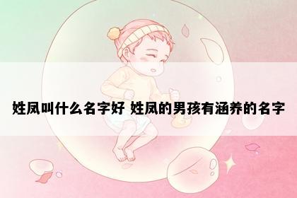 姓凤叫什么名字好 姓凤的男孩有涵养的名字