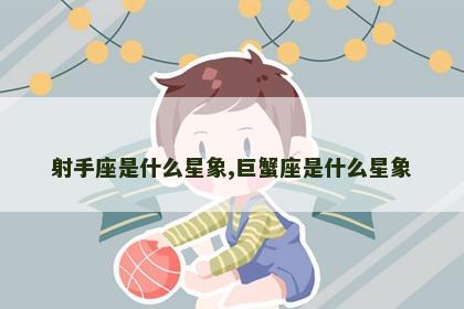 射手座是什么星象,巨蟹座是什么星象