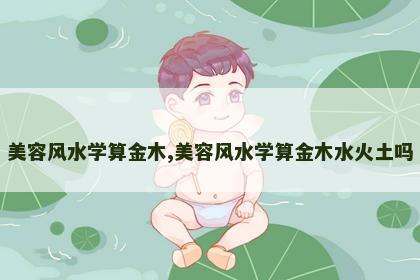 美容风水学算金木,美容风水学算金木水火土吗