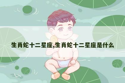 生肖蛇十二星座,生肖蛇十二星座是什么