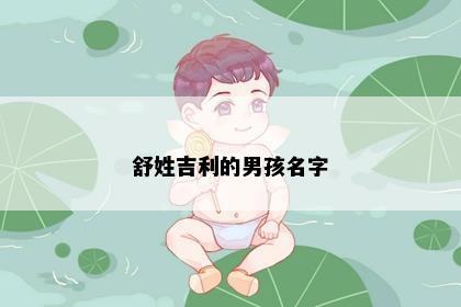 舒姓吉利的男孩名字