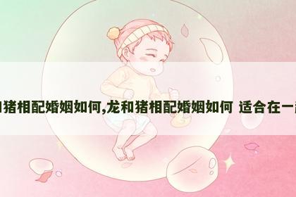 龙和猪相配婚姻如何,龙和猪相配婚姻如何 适合在一起吗