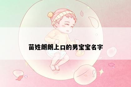 苗姓朗朗上口的男宝宝名字