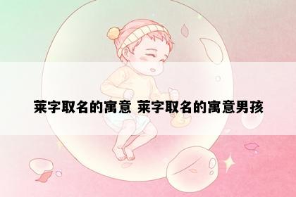 莱字取名的寓意 莱字取名的寓意男孩