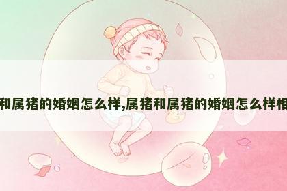 属猪和属猪的婚姻怎么样,属猪和属猪的婚姻怎么样相配吗